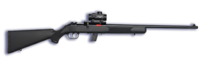 Carabina .22